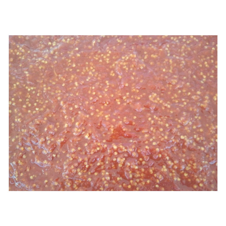 Imagens/Produtos/266Pimenta-Malagueta-Macerada-500-g.jpg